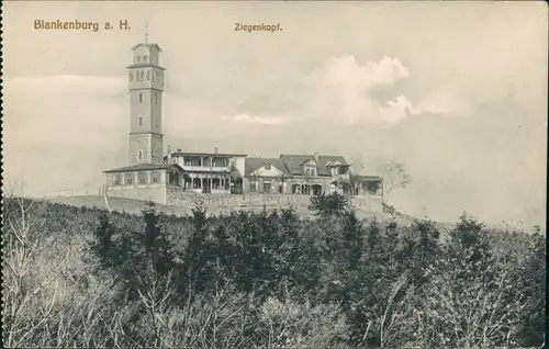 Blankenburg (Harz) Umland-Ansicht Partie am Ziegenkopf mit Turm Gaststätte 1910