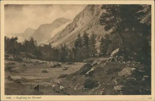 Ansichtskarte Zermatt Umlandansicht Partie a.d. Staffelalp Berg Panorama 1920