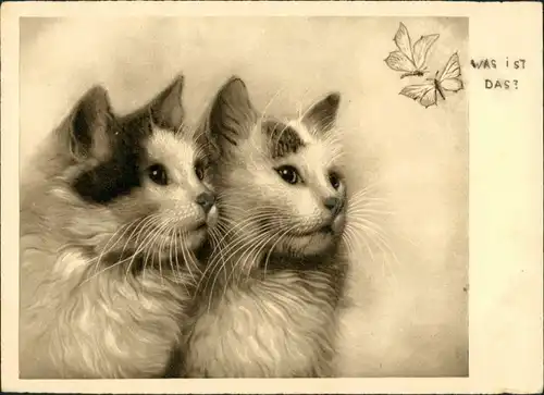 Ansichtskarte  Tiere - Katzen süsse Kätzchen - Fotokunst 1938