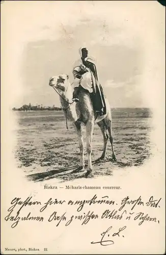 Postcard Biskra بسكرة Biskira Mecharis chameau Courreur - Kamel 1903