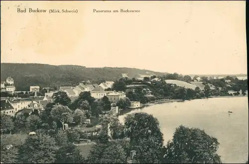 Ansichtskarte Buckow (Märkische Schweiz) Stadt Buckowsee 1913
