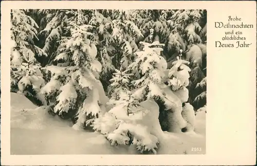 Ansichtskarte  Glückwunsch - Weihnachten und Neujahr Verschneite Tannen 1941