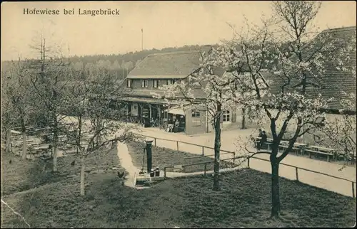 Ansichtskarte Langebrück-Dresden Restaurant - Hofewiese, Brunnen Garten 1915