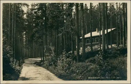 Postcard Bad Flinsberg Świeradów-Zdrój Partie an der Waldbaude 1929