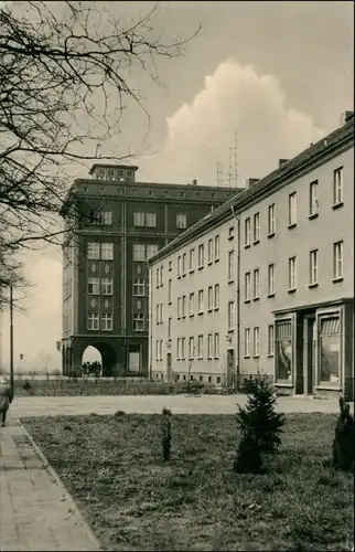 Ansichtskarte Senftenberg (Niederlausitz) Straße 1963