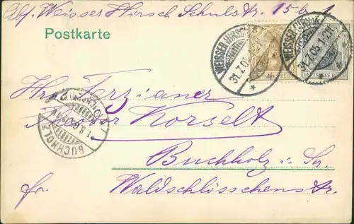 Ansichtskarte Blasewitz-Dresden Straßen - Loschwitz Blasewitz 1905