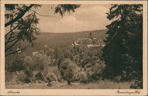 Ansichtskarte Schierke Panorama-Ansicht Fernblick auf Rosenberger Hof 1929   AK gelaufen mit Stempel SCHIERKE
