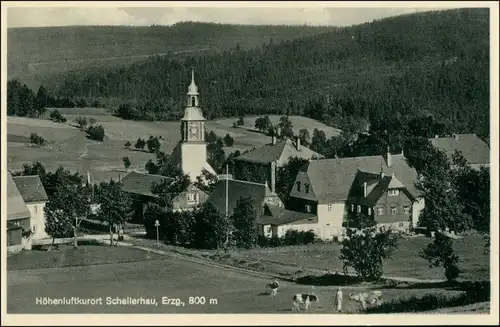 Ansichtskarte Schellerhau-Altenberg (Erzgebirge) Stadtpartie - Kühe 1934