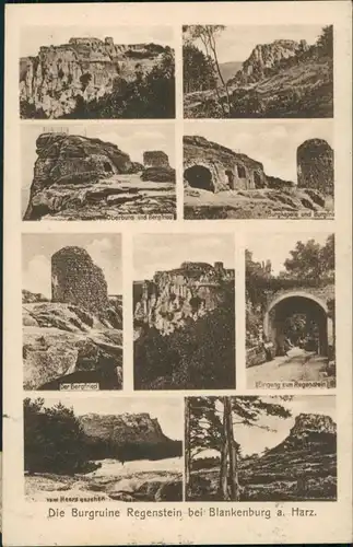 Blankenburg (Harz) Burg Burgruine Regenstein Mehrbild-AK 9 Ansichten 1924