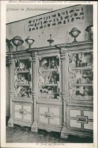 Zangberg (Lk Mühldorf) Mädchenschule Schrank Naturalienkabinett 1912