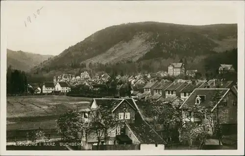 Ilsenburg (Harz) Panorama-Ansicht Blick auf Wohnhäuser, Villen 1930
