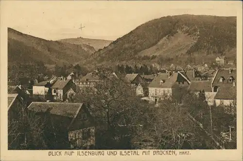Ilsenburg (Harz) Wohnhäuser im Ilsetal mit Brocken Fernansicht 1920