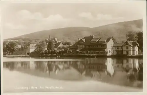 Ilsenburg (Harz) Partie am Forellenteich Echtfoto-Postkarte 1940 Privatfoto