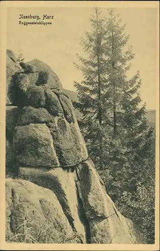 Ilsenburg (Harz) Partie an den Roggensteinklippen, Felsen Landschaft Harz 1910