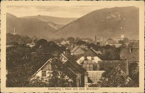 Ansichtskarte Ilsenburg (Harz) Brocken Fernsicht, Wohnhäuser Dorfmitte 1920