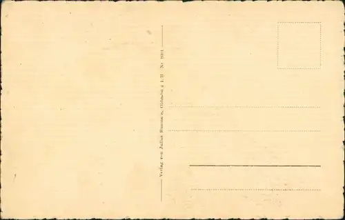 Ansichtskarte Ilsenburg (Harz) Brocken Fernsicht, Wohnhäuser Dorfmitte 1920