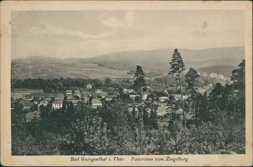 Georgenthal (Thüringen) Umland-Ansicht Panorama vom Ziegelberg 1920