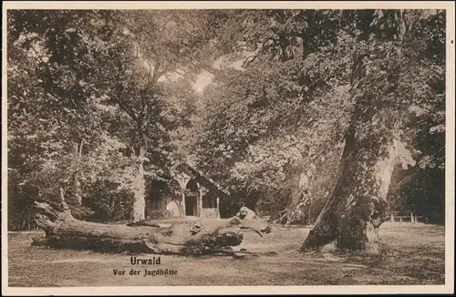Ansichtskarte Varel Urwald - Jagdhütte 1928