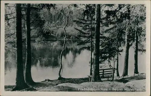 Ansichtskarte Friedrichsbrunn Partie am Bergrat Müller Teich 1957