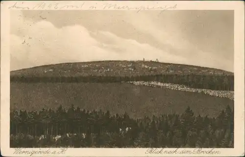 Wernigerode Panorama-Ansicht Blick nach dem Brocken (Harz Berg) 1924   AK