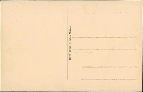 Schmiedeberg (Erzgebirge)-Dippoldiswalde Partie an der Buschmühle 1917