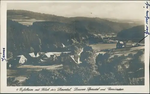Ansichtskarte Daun Liesetal Dauner Sprudel Gemünden 1930