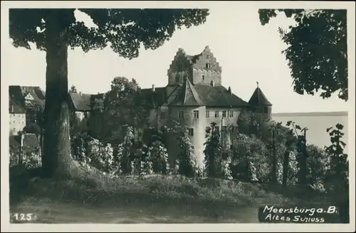 Ansichtskarte Meersburg Altes Schloß / Burg Meersburg Weinreben 1928