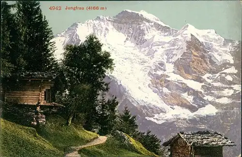 Ansichtskarte Grindelwald Jungfrau, Bergbauden 1913