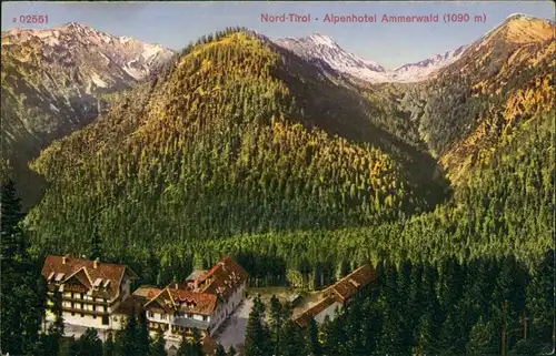 Ansichtskarte Reutte Nordtirol - Alpenhotel Ammerwakd 1912