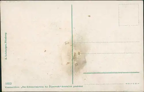 Ansichtskarte Berchtesgaden Stadtpartie 1913