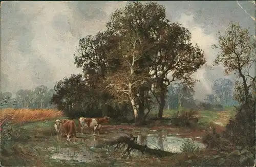 Künstlerkarte Stimmungsbild Natur Landschaft Kühe, Art Postcard 1920