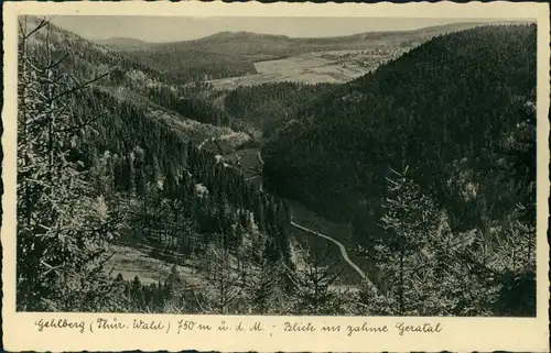 Ansichtskarte Gehlberg Umland-Ansicht Blick ins zahme Geratal 1935