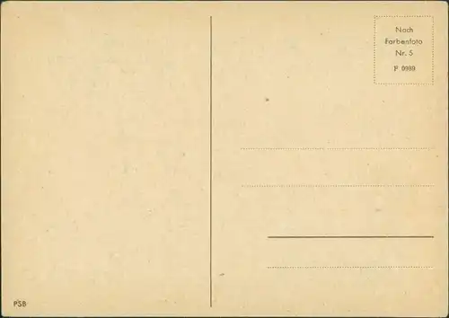 Ansichtskarte Mitte-Berlin Unter den Linden - Denkmal - Propaganda color 1939