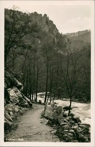 Ansichtskarte Treseburg Bodetal Harz Fluss Partie Landschaft Wald  1936