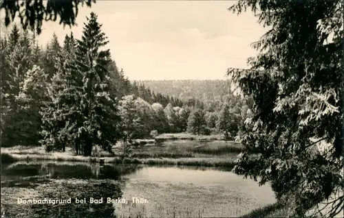 Bad Berka Umland-Ansicht Partie im Dambachsgrund DDR Postkarte 1969