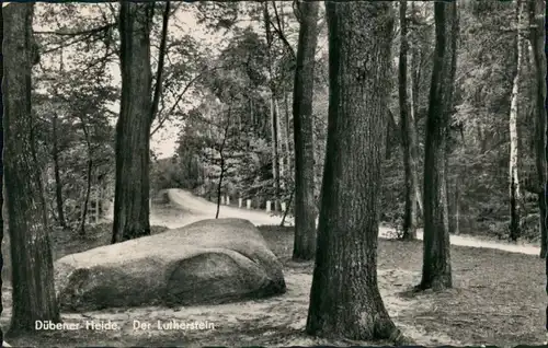 Ansichtskarte .Sachsen-Anhalt Waldweg Wald Partie mit Lutherstein 1958