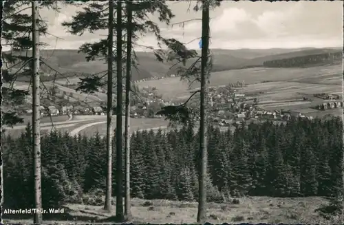 Altenfeld (Thüringen) Panorama-Ansicht Thüringer Wald Blick DDR Postkarte 1960