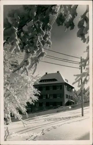 Bärenfels (Erzgebirge)-Altenberg  Umland-Ansicht Wohnhaus   Postkarte 1956