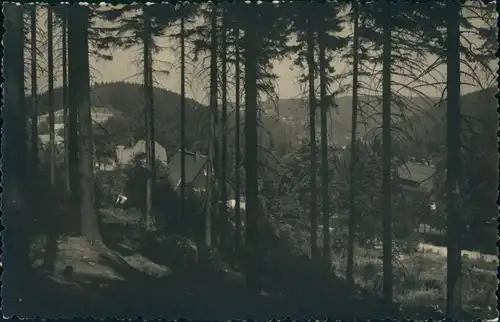 Bärenfels (Erzgebirge)-Altenberg (Erzgebirge) Panorama Echtfoto-AK 1956