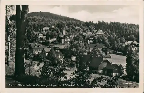 Bärenfels (Erzgebirge)-Altenberg (Erzgebirge) Panorama  Wohnhäuser 1954