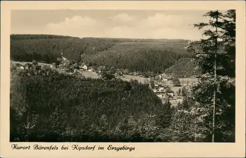 Bärenfels (Erzgebirge)-Altenberg (Erzgebirge) Panorama Erzgebirge   1956