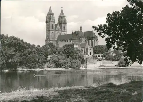 Ansichtskarte Altstadt-Magdeburg Partie am Dom s/w DDR Postkarte 1977