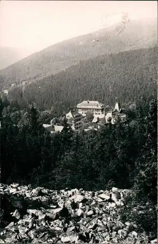 Bärenfels (Erzgebirge)-Altenberg (Erzgebirge) Umland  vom Spitzberg 1964