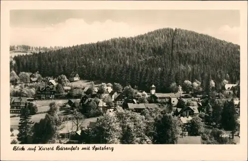 Bärenfels (Erzgebirge)-Altenberg Panorama Dorf Partie mit Spitzberg 1961