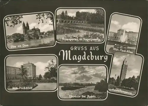 Magdeburg 5 Ansichten DDR ua. Dom, Elbe, Rosengarten, Allee, Turm, Buckau 1966