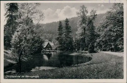 Ansichtskarte Wernigerode Umland-Ansicht Christianental DDR Postkarte 1955