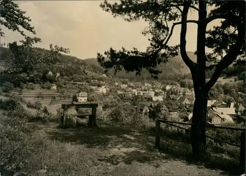 Ansichtskarte Sitzendorf Panorama-Ansicht vom Waldweg aus DDR Postkarte 1966