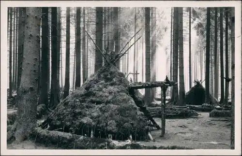 Ansichtskarte Benneckenstein Hütten im Wald 1954