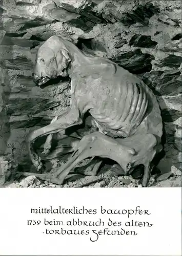 Burgk (Saale) Heimat und Schloßmuseum mittelalterliches bauopfer 1973