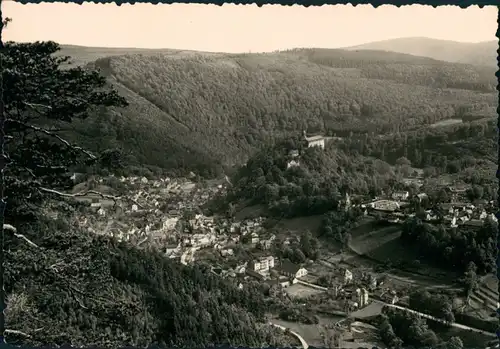 Ansichtskarte Schwarzburg Trippsteinblick 1960